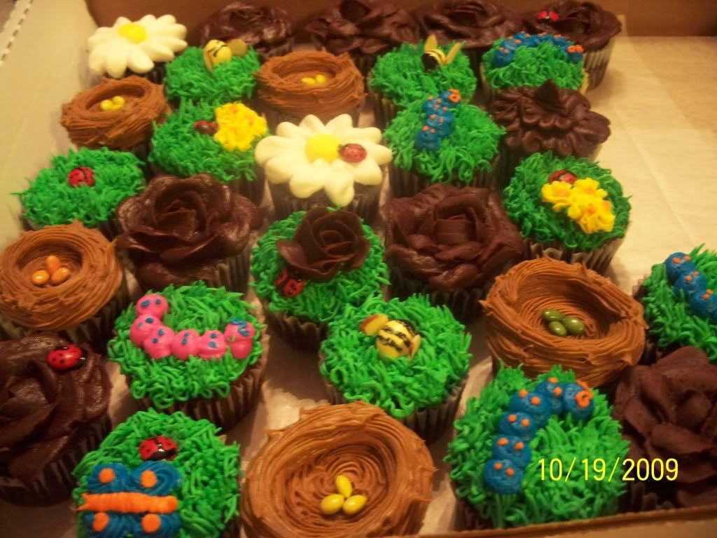 nature-themed-cupcakes-photo-by-cakes-by-tammy-photobucket